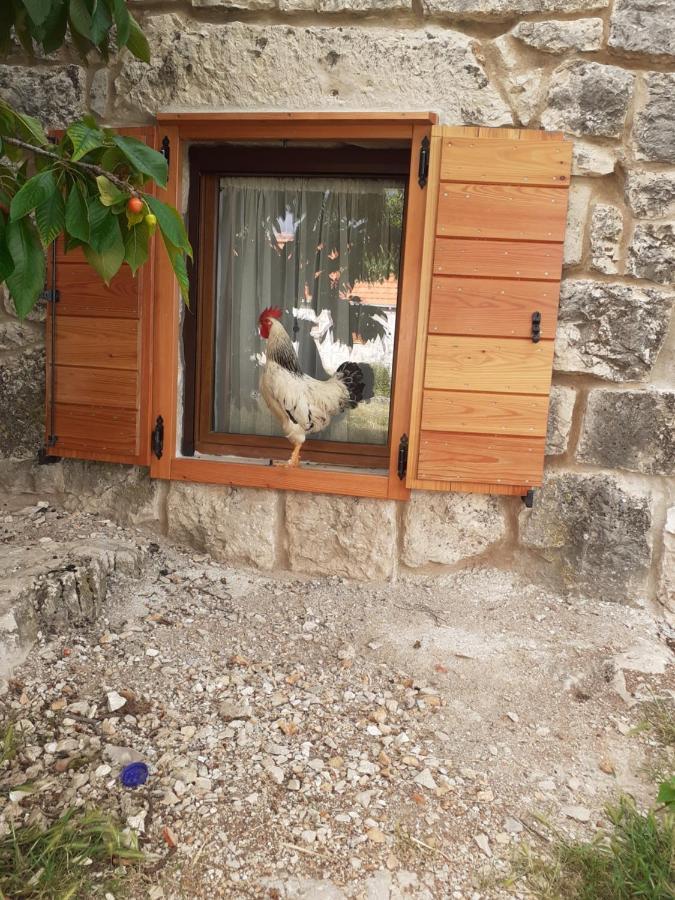 Patakun Holiday Home For 5, With Heated Pool Lecevica Dış mekan fotoğraf