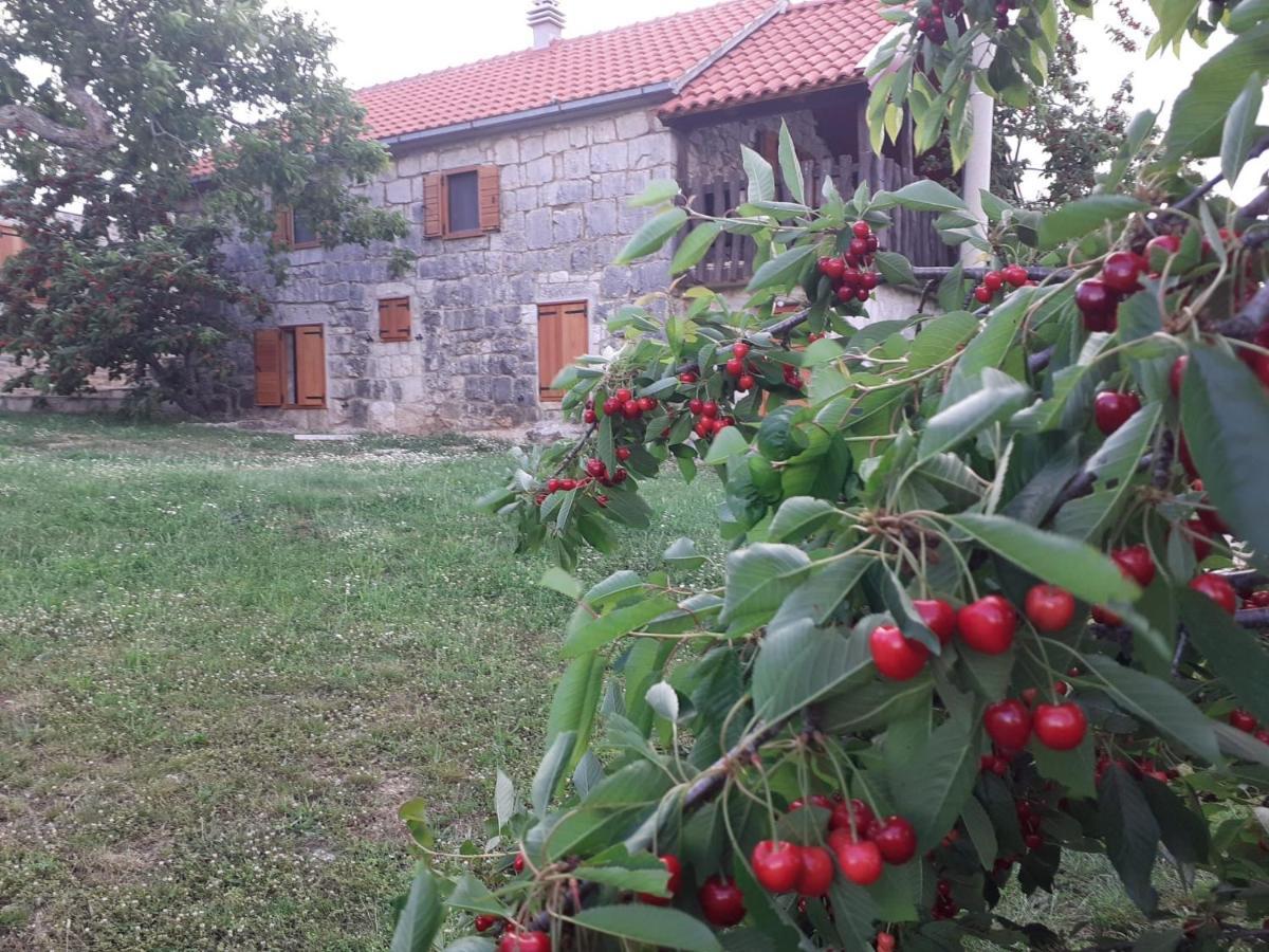 Patakun Holiday Home For 5, With Heated Pool Lecevica Dış mekan fotoğraf